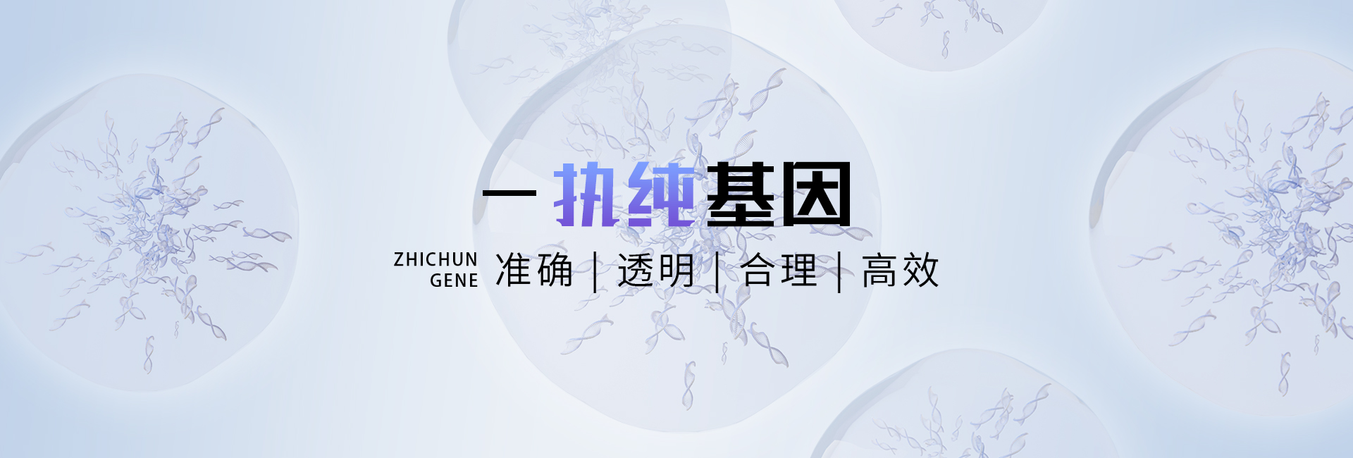 首頁(yè)輪播圖2