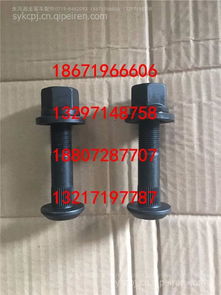 東風天翼電動車輪胎螺絲6810 選購指南與市場分析